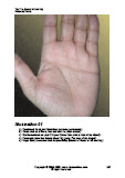 Learn Palm Reading illustrations 1